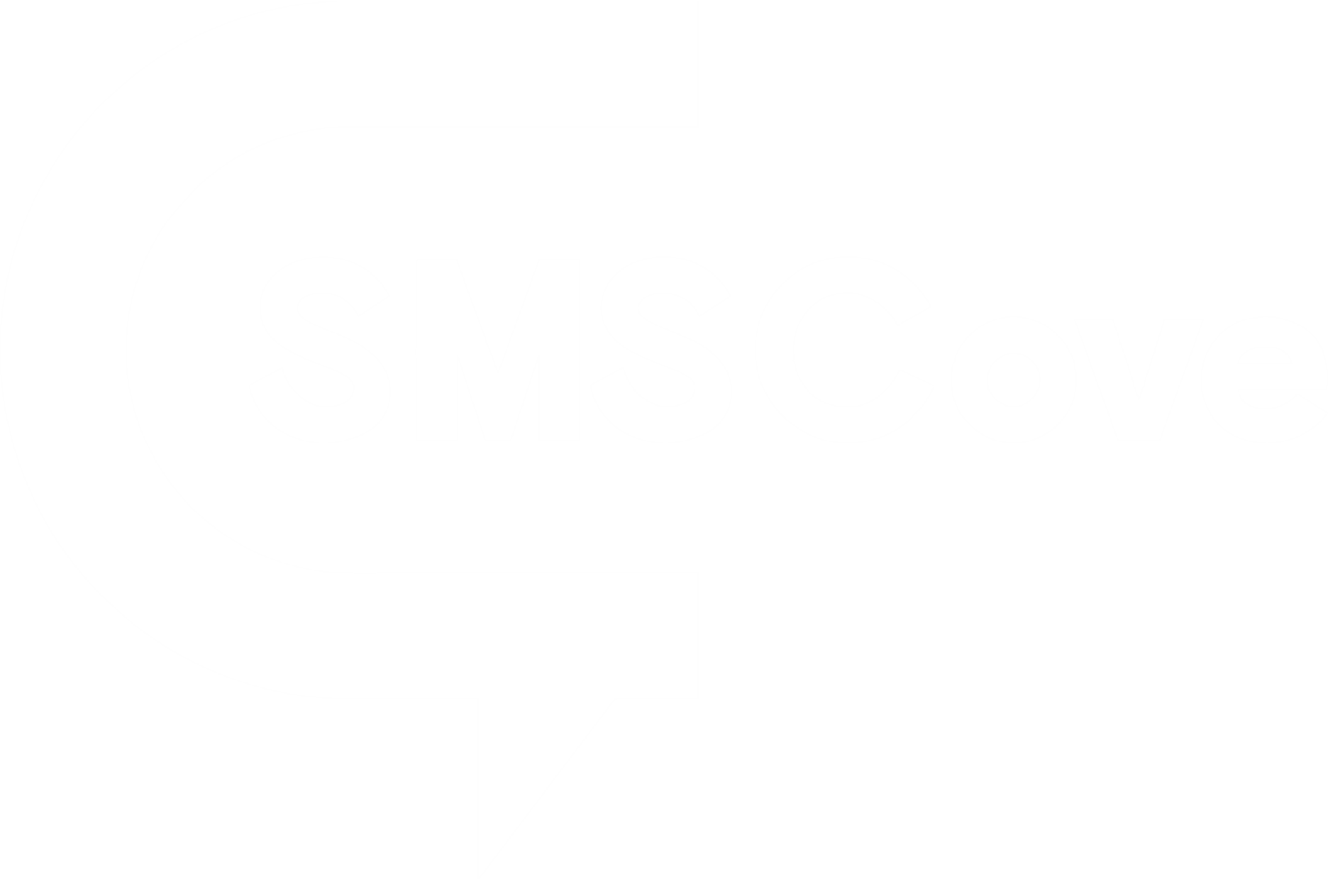 Swift verify  logo